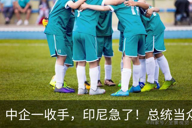 中企一收手，印尼急了！总统当众喊“家人们”，中方只看实际行动
