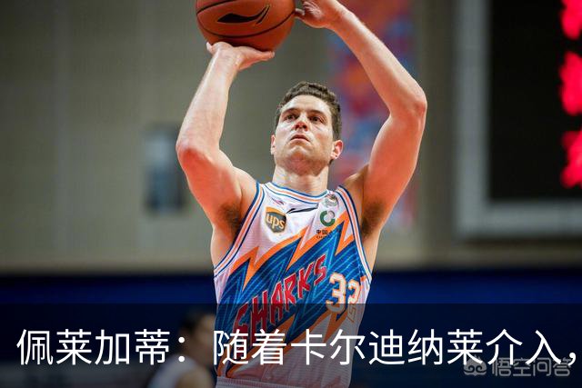 佩莱加蒂：随着卡尔迪纳莱介入，付费引进克勒舍是有可能的