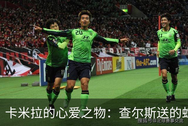 卡米拉的心爱之物：查尔斯送的蛇形项链，戴了20多年和她绝配