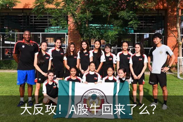 大反攻！A股牛回来了么？