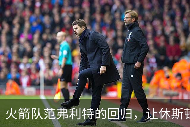 火箭队范弗利特的回归，让休斯顿火箭队成真正的NBA总冠军争夺者