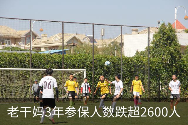 老干妈3年参保人数跌超2600人