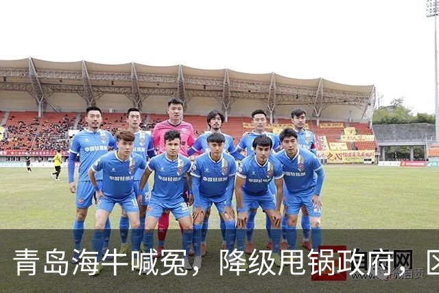青岛海牛喊冤，降级甩锅政府，区政府承诺4000万未到账，“婆媳关系”掰扯不清